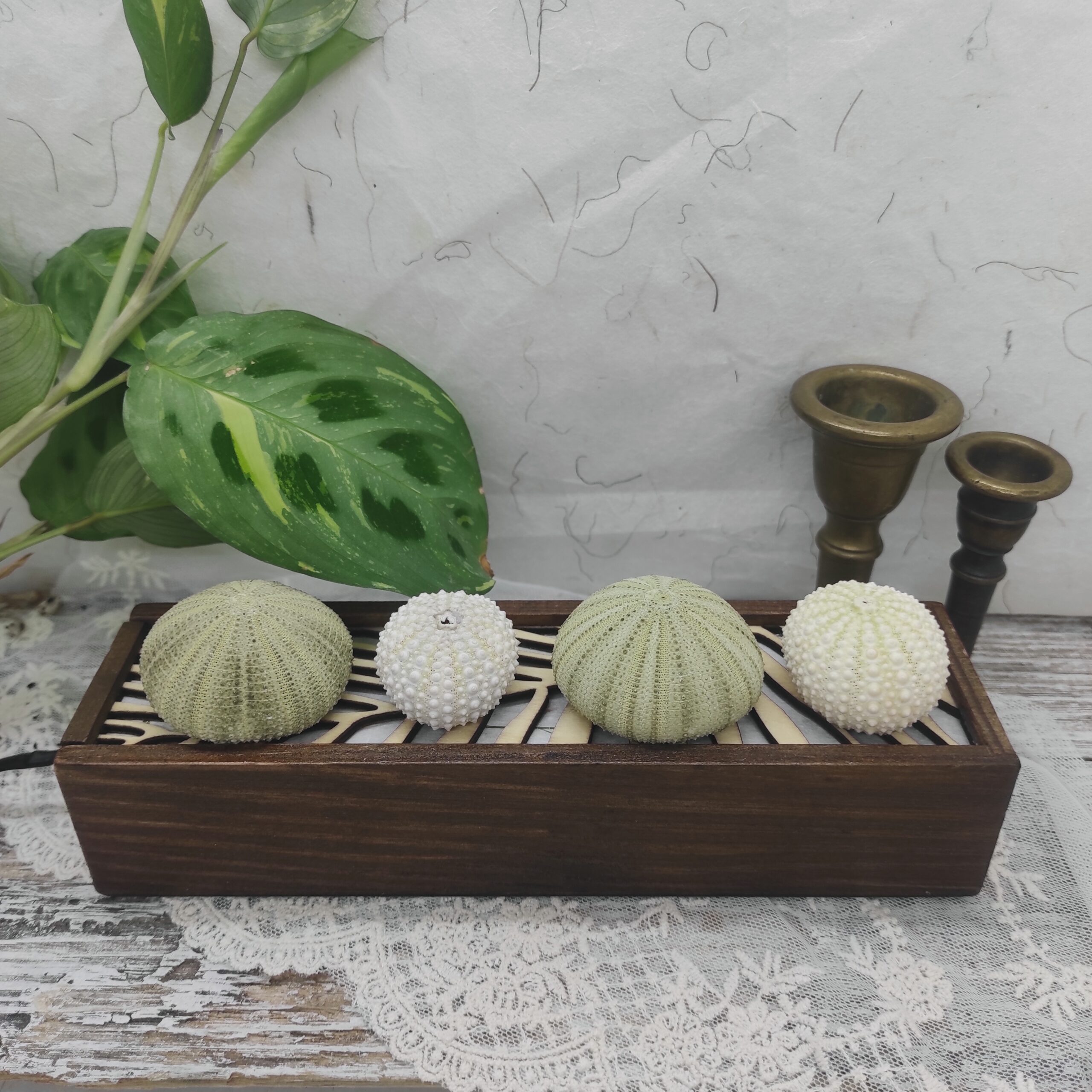 Image globale d'une lampe artisanale faite d'une boîte de bois et de coquillages et test d'oursins