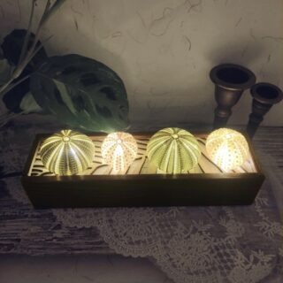 Photo globale d'une lampe bohème faite de test d'oursins et d'une boîte en bois laqué
