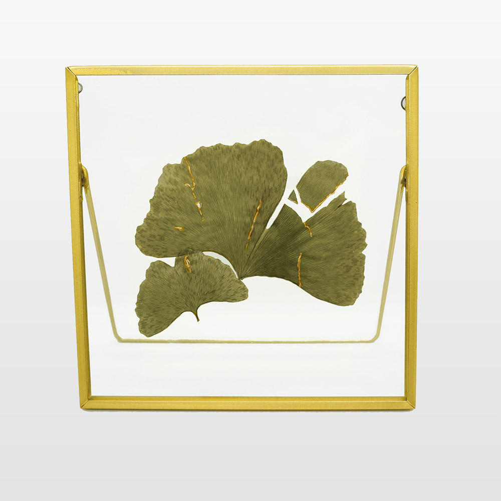 Photo d'un herbier composé d'un cadre recyclé, une feuille de ginkgo séchée contenant du kintsugi