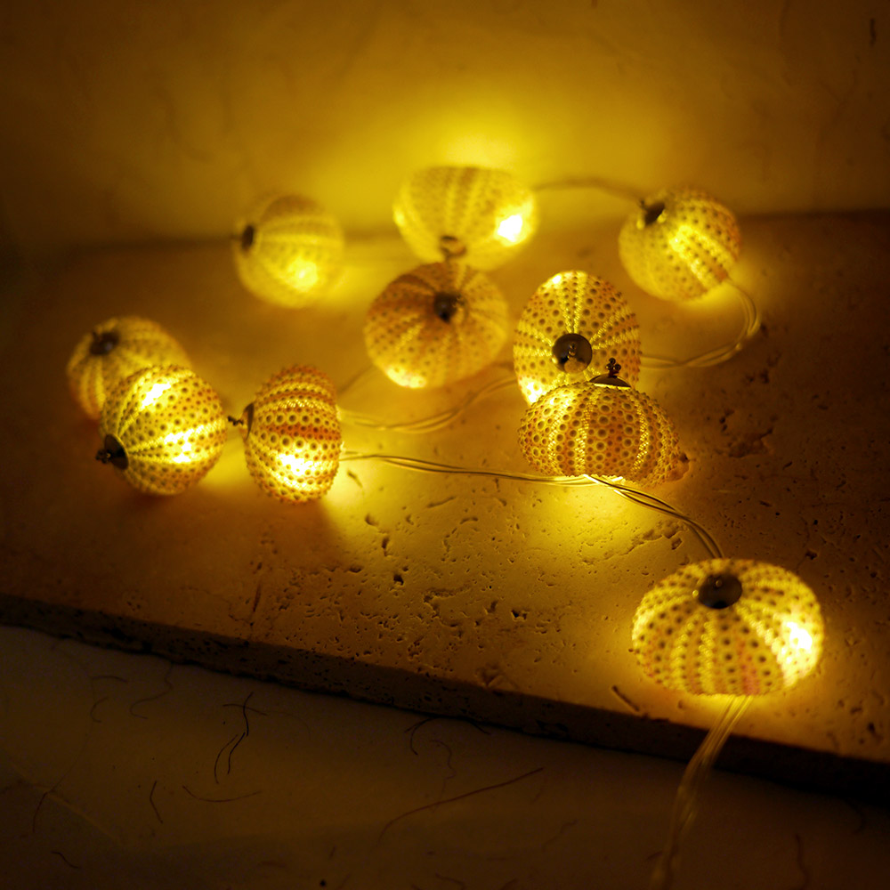 Guirlande d'oursins naturels lumineux allumé de couleur jaune et rose