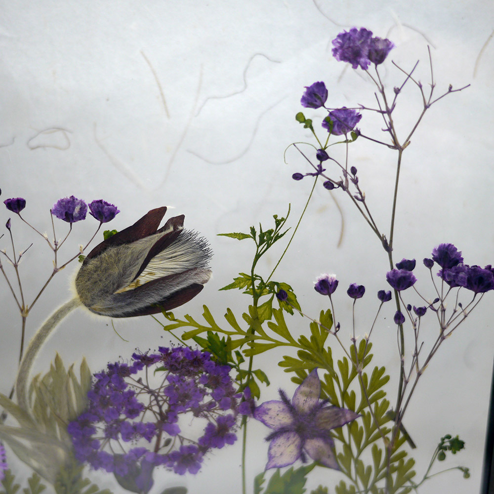 Close-up d'un herbier français fait main avec des feuilles séchées