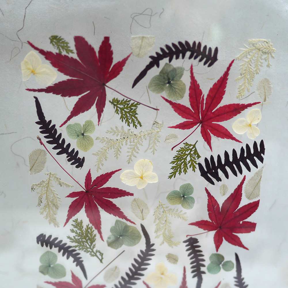 Herbier japonais fait de feuilles séchées d'érables et de fleurs pressées