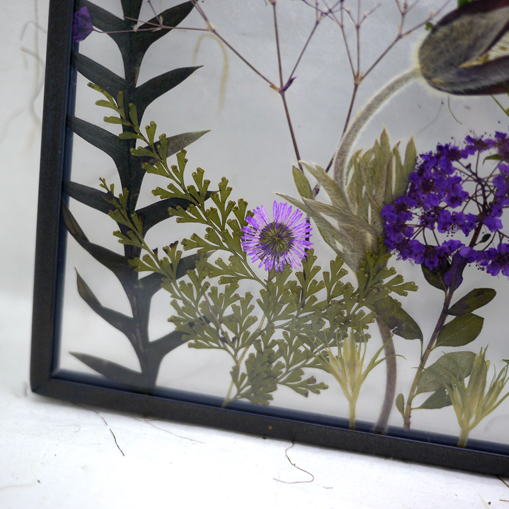 Herbier transparent artisanal fait de feuilles séchés et de fleurs pressées