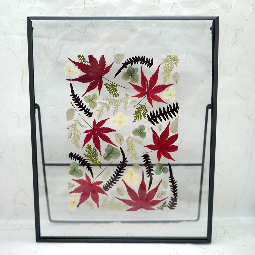Herbier transparent d'inspi japonais fait de feuilles d'érable et de fleurs séchées