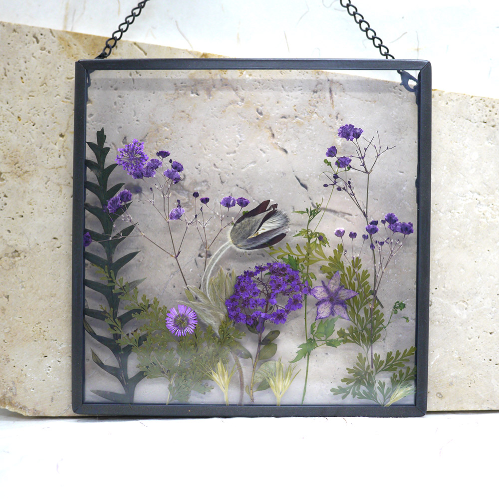 Herbier transparent fait de fleurs séchées et de feuilles pressées